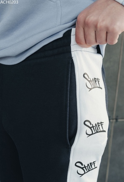 Спортивные штаны Staff lampas logo fleece