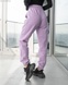 Жіночі спортивні штани Staff lo purple XS