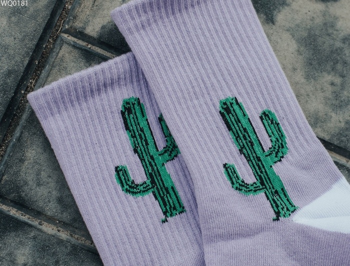 Шкарпетки Staff cactus