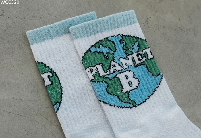 Шкарпетки Staff planet b